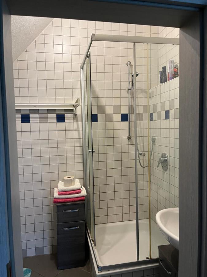 Zimmer Zum Vermieten Direkt An Der Donau Und Am Schloss Neubourg-sur-le-Danube Extérieur photo
