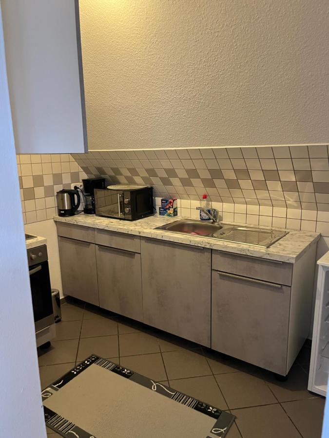 Zimmer Zum Vermieten Direkt An Der Donau Und Am Schloss Neubourg-sur-le-Danube Extérieur photo