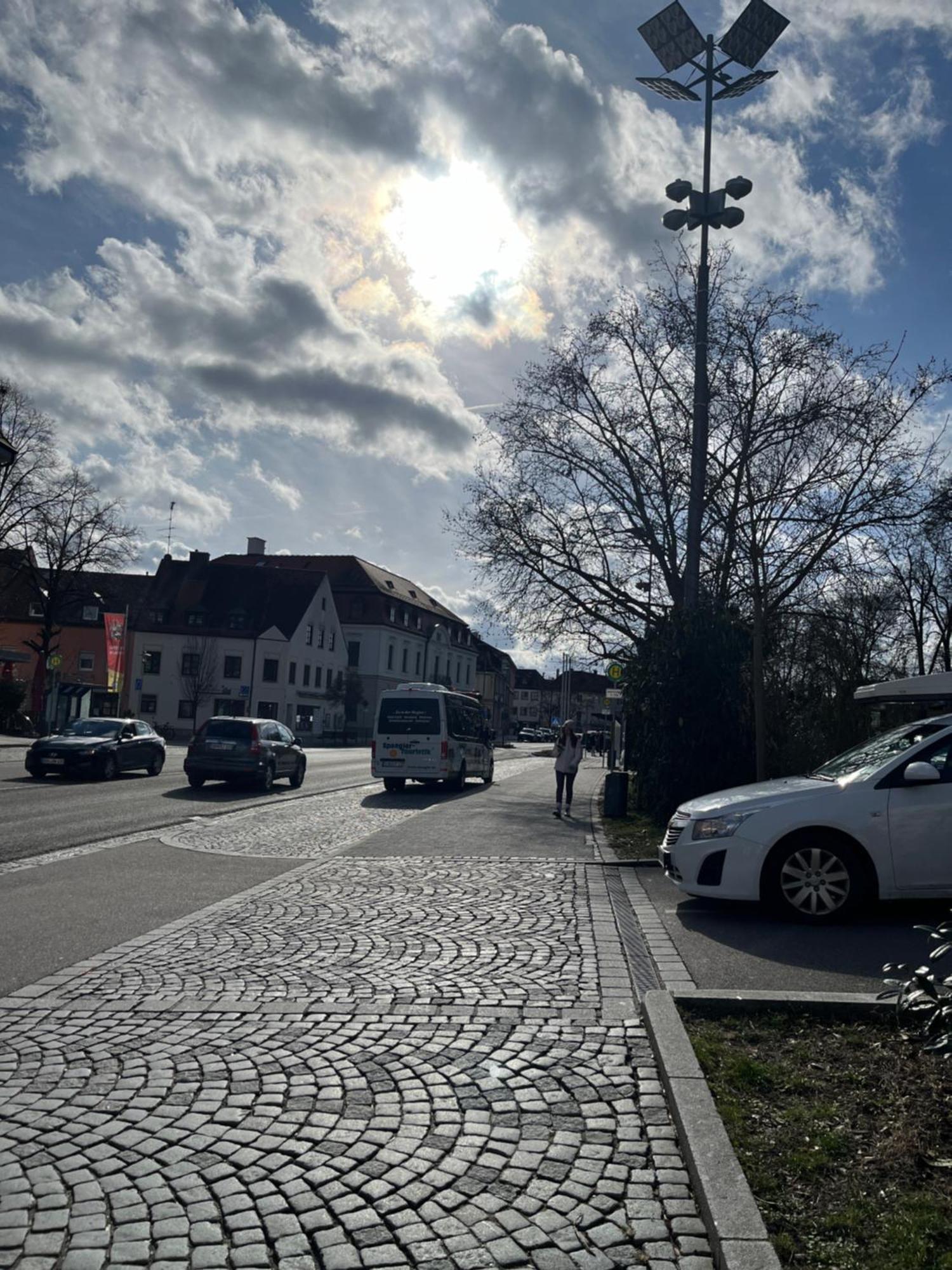 Zimmer Zum Vermieten Direkt An Der Donau Und Am Schloss Neubourg-sur-le-Danube Extérieur photo